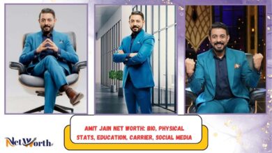 Amit Jain Net Worth