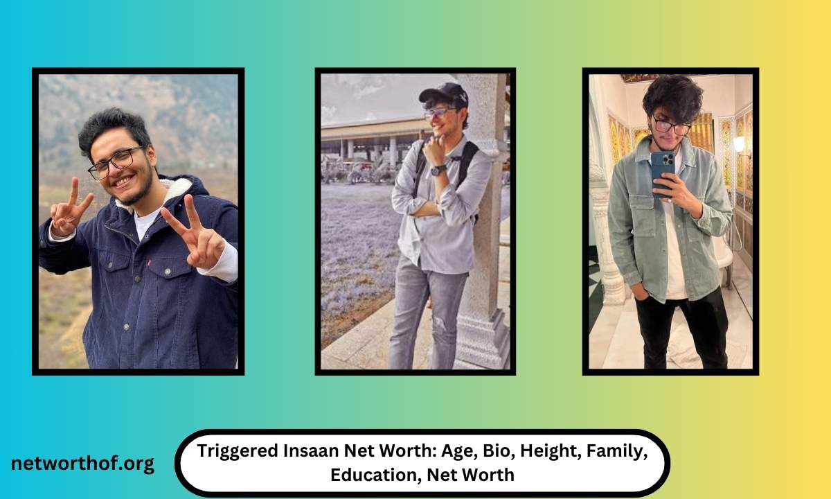 Triggered Insaan Net Worth